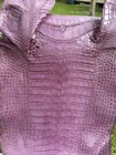 Wild Alligator Gator Belly Leather Professionally Tanned In Pastel Pink — photo 7