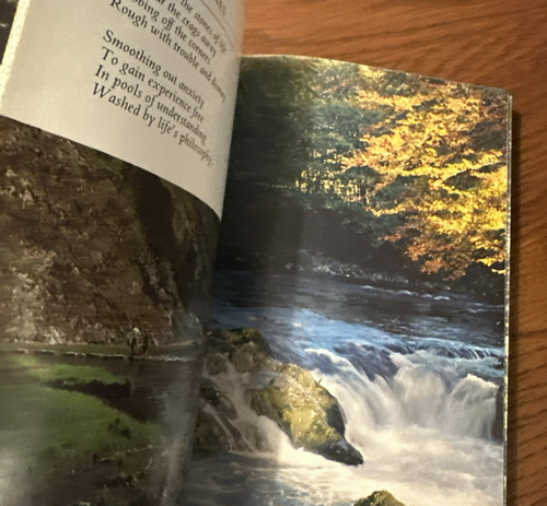 Serenity By Kathleen Partridge Jarrold Colour Publications Import PB P - Picture 5 of 5