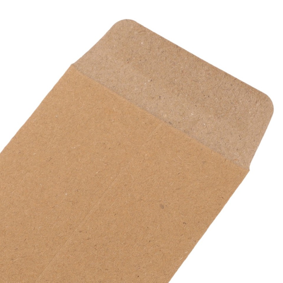 Reusable Kraft Paper Envelopes for Coin Money Credit Card Small ...
