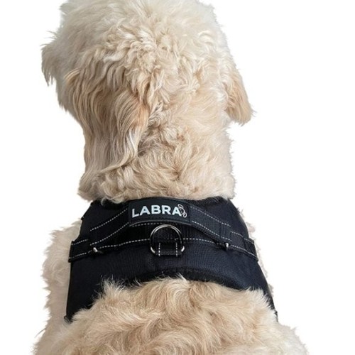 labra knee brace
