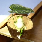 Foto 4 di 5