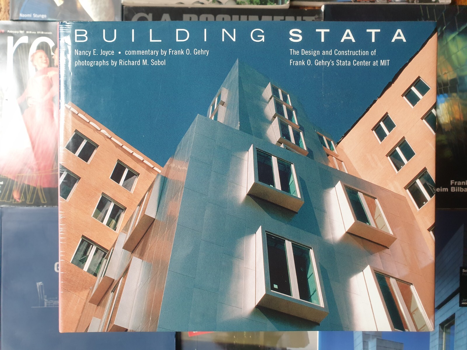 Building Stata: The Design and Construction of Frank O. Gehry's Stata Center