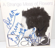 A Strange Mess of Flowers / This Euphoria / Overdub -  Dav&iacute;d Garza - Used CD Lot