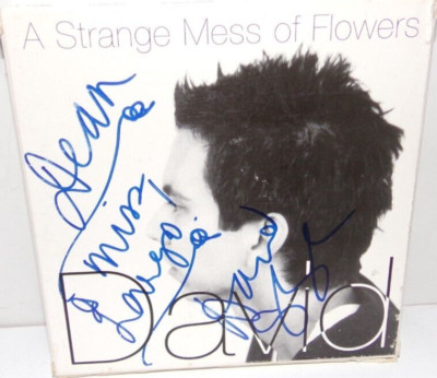 A Strange Mess of Flowers / This Euphoria / Overdub -  Davíd Garza - Used CD Lot