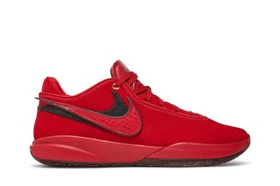 Nike Liverpool F.C. x LeBron 20 EP DV1190-600 New Size