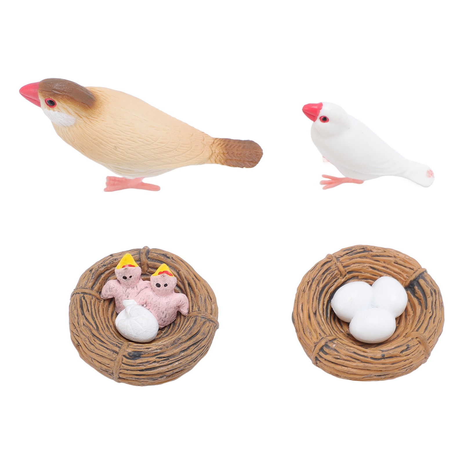 `4Pcs Finch Bird Life Cycle Figures For Kids PVC Animal Growth Cycle Toys Part