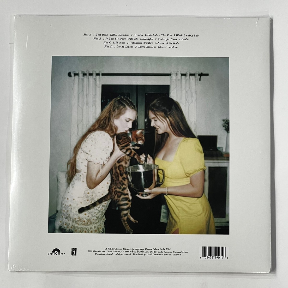 Lana Del Rey Blue Banisters 2LP Vinyl Black 12