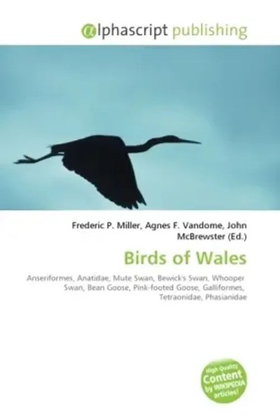 Frederic P. Miller (U. A.) | Birds Of Wales | Taschenbuch | Englisch (2026)-image