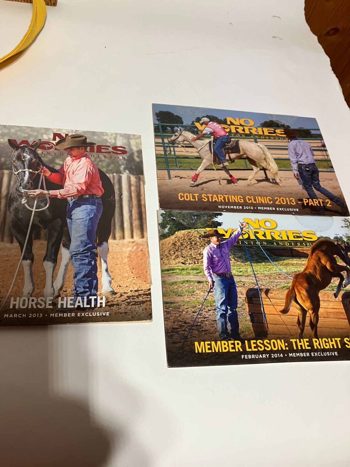 Clinton Anderson No Worries Club 16 Supplemental DVD's with Tote Bag & Catalog