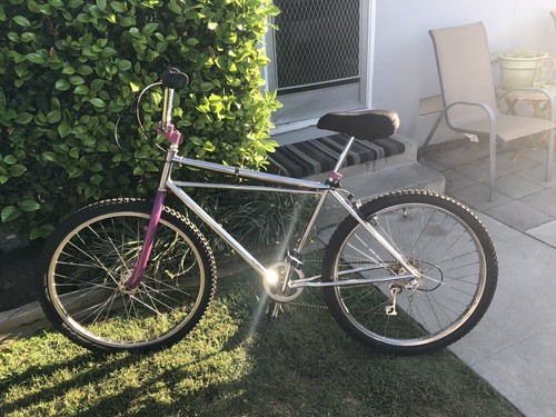Chrome Purple Bmx Crusier Bike 