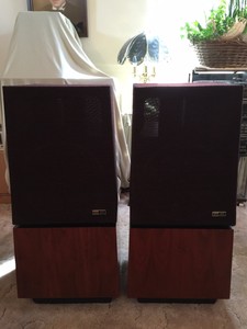 ess amt speakers
