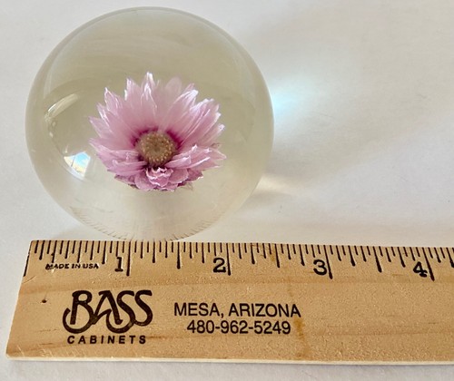Vintage Paperweight Acrylic Resin embedded Paper Pink Daisy Flower - Picture 4 of 5