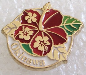 Okinawa Island - Japan Tourist Travel Souvenir Collector Pin - Hibiscus Flower