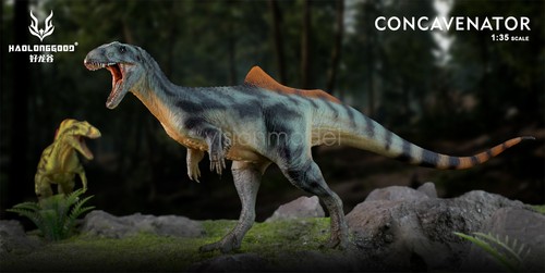 HAOLONGGOOD 1:35 Concavenator Allosauroidea Dinosaur Collection Decor Model - Picture 13 of 27