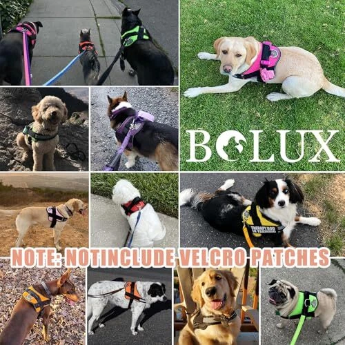 Dog Harness, No-Pull Reflective Dog Vest, XX-Large (Pack of 1) RosePink