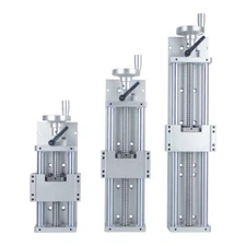 Double optical Linear Guide Rail CNC Slide Stage Actuator BallScrew Motion Table
