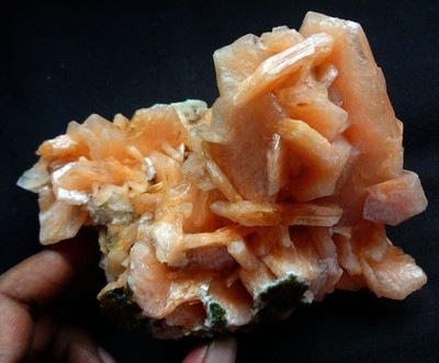 STILBITE CRYSTALS FORMATION ON CORAL CHALCEDONY MATRIX
