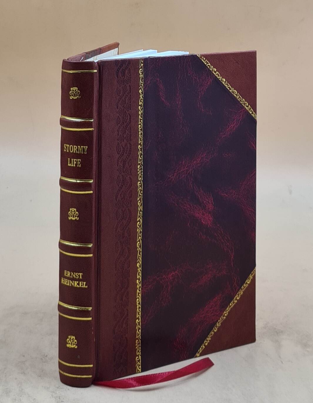 Stormy Life Memoirs of an Air Age Pioneer Leather Bound Edition Edited by Jörg