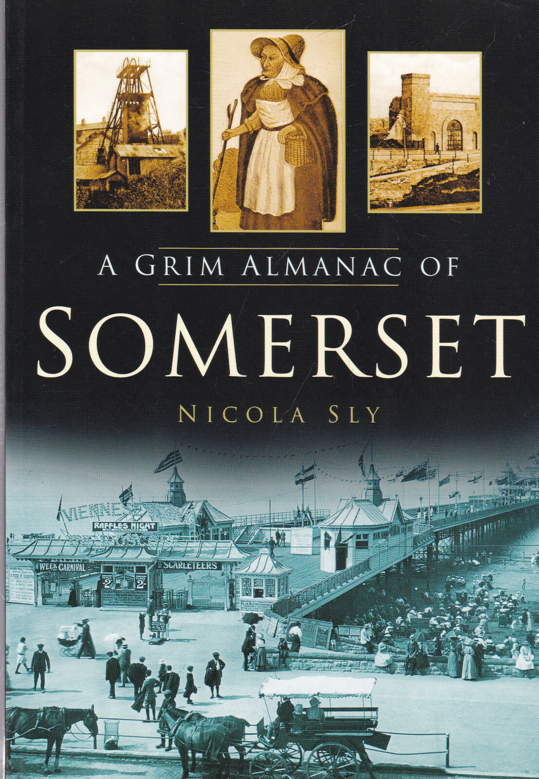 Somerset History A Grim Almanac of Book Crime Strange Happenings etc New