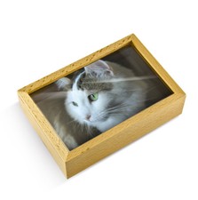 Light Wood Tone 18 Note Musical Photo Frame Keepsake - Over 400 Song Choices