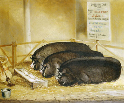 John Vine ''''Drei Preisträger'''' britische naive Kunst Schwein Erfolg grünes Kunstwerk