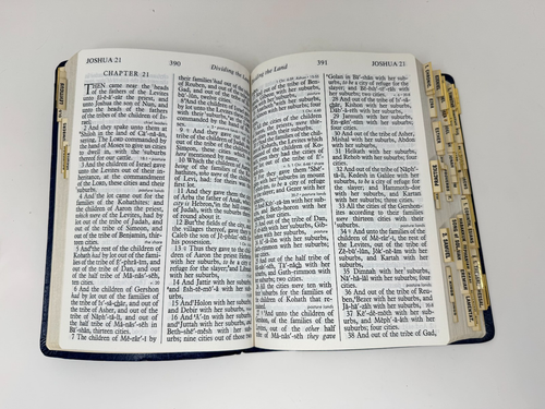 The Holy Bible KJV Giant Print Clear Word Reference 1976 The Bible Radio - Foto 10 di 11