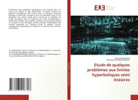 Etude De Quelques ProblèMes Aux Limites Hyperboliques Semi LinéAires Taschenbuch