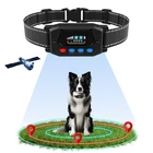 PUPKIDS GPS Dog Collar Fence System - Invisible Electric 1 Collar, Black