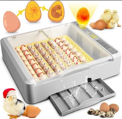 Innvello 36 Egg Incubator Automatic Turner Digital Poultry Hatching Chicken Duck