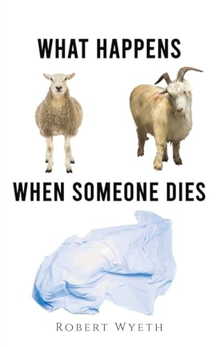 Robert Wyeth - What Happens When Someone Dies - Paperback - G245Z-image