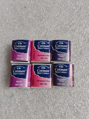 COTMAN WINSOR&NEWTON 6 HALBE PFANNE 1/2 EIMER AQUARELL AQUARELL 
