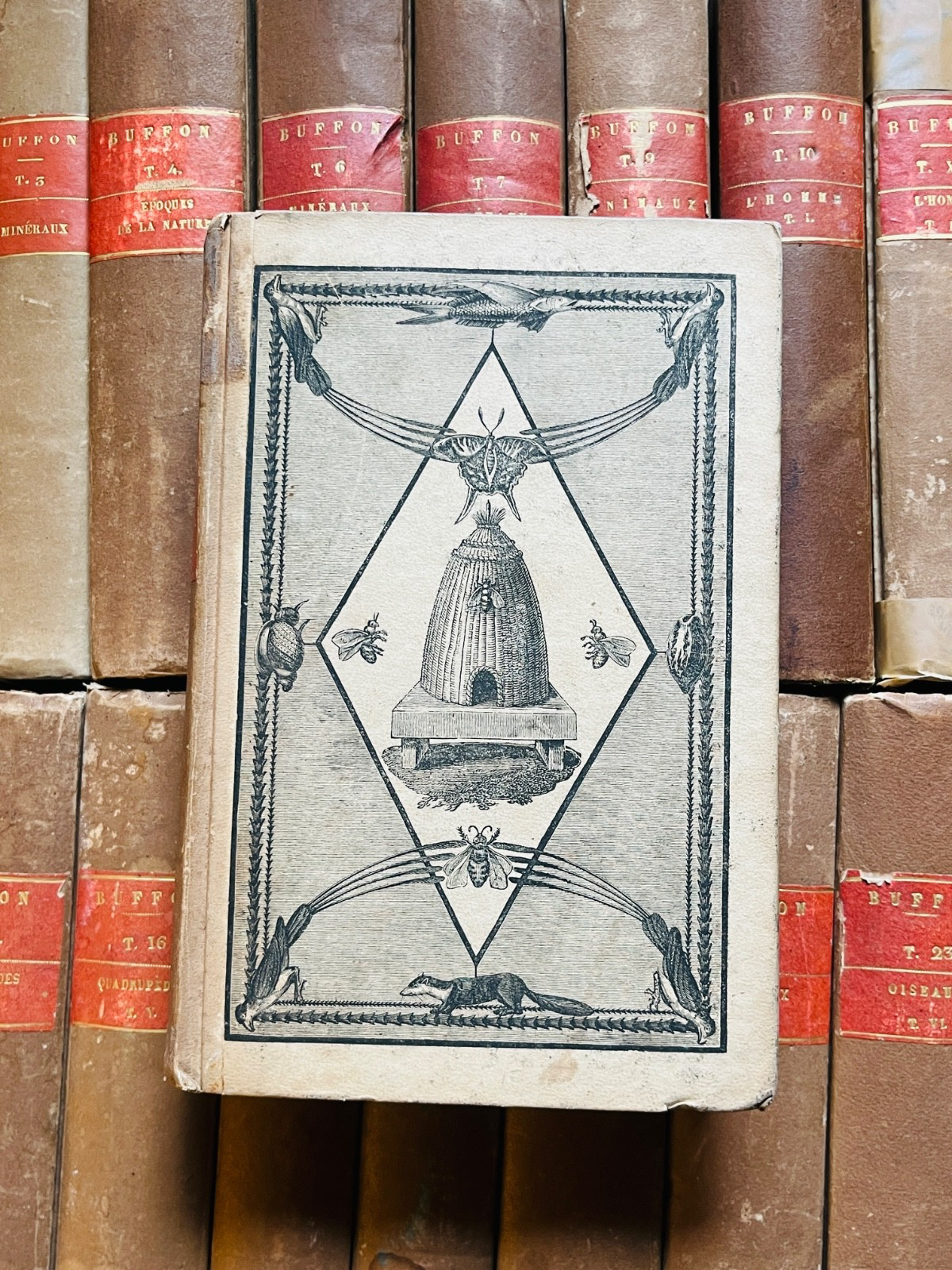 {CARTONNAGE EDITEUR}Œuvres complètes de Buffon, enrichies d'une classification.