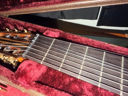 Laviolette guitar with silver hardware and six strings, fretboard, and gold hardware, resting in red plush-lined hard case.