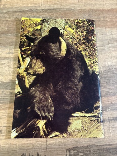A - Vintage 1981 WEST VIRGINIA BLACK BEAR WVDNR Study, Life & History - Picture 2 of 4