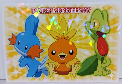 Pokemon Celebrations 25th Anniversario - Jumbo Card Lotto Hoenn: Treecko, Torchic, Mudkip - 3 Carte Formato Gigante