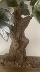 Picture 18 of 22