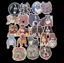 American Bully Stickers, Bully Dog Stickers, Laptop, Water Bottle, 20 pk