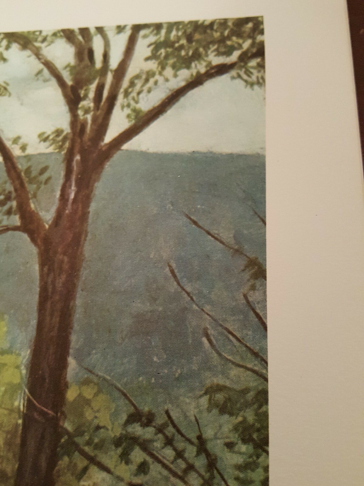 Picture 7 of 12