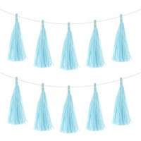 30 StüCk Hellblaue Quastengirlande Banner Mit Seidenpapierquasten Party Diy Kits