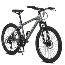 24'' Mountain Bike Boys Girls, Steel Frame, Mountain Bicycle w Daul Disc Brakes