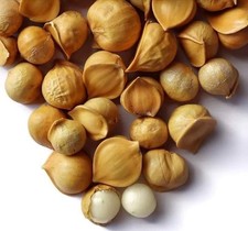 HILLS ORGANICS Kashmiri Garlic 50 gm | Natura...
