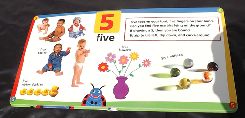 BABY EINSTEIN MY FIRST BOOK OF NUMBERS BOARD BOOK 2007 PREOWNED - Imagen 4 de 5