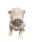 White Bulldog Dog Statue Figurine Rhinestone Crystal Collar Indoor Home Décor
