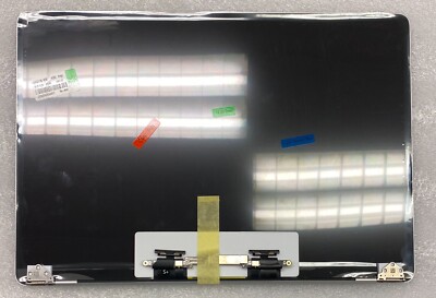 original Apple LCD Assembly MacBook Pro 16'' 2019 - A2141 Silver Space Grey