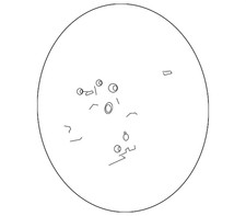 Genuine Ford Steering Wheel DC3Z-3600-CA