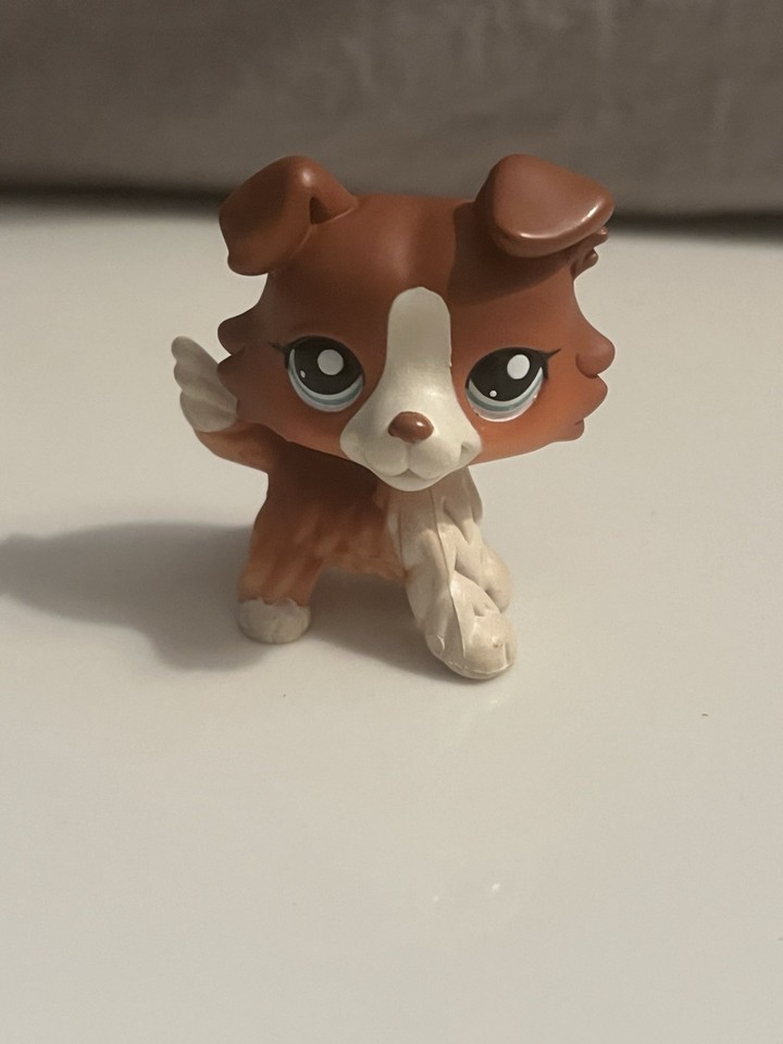 Petshop - Chien colley #1542 - Collie dog #1542
