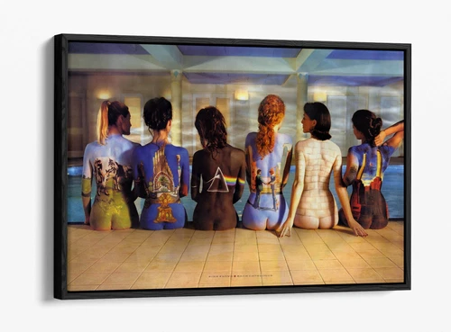 PINK FLOYD PAINTED BACK CATALOGUE -FLOAT EFFECT CANVAS WALL ART PIC PRINT- BEIGE