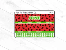 1006-2A~~June 7X9 Monthly View Planner Stickers.