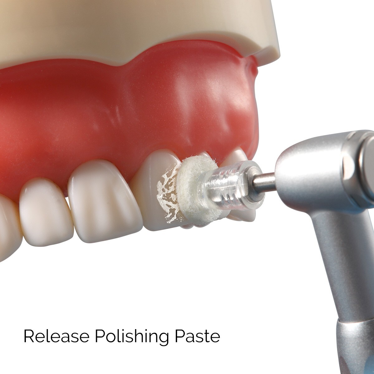 AZDENT Dental Super Buff Disks Regular Snap Discs Composite 50 disk+1 ...