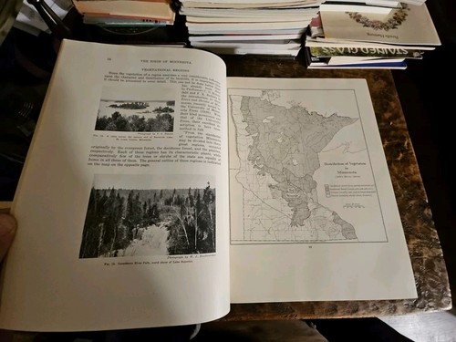 The Birds Of Minnesota By Thomas Roberts Vol I & II 1932 - Picture 8 of 24